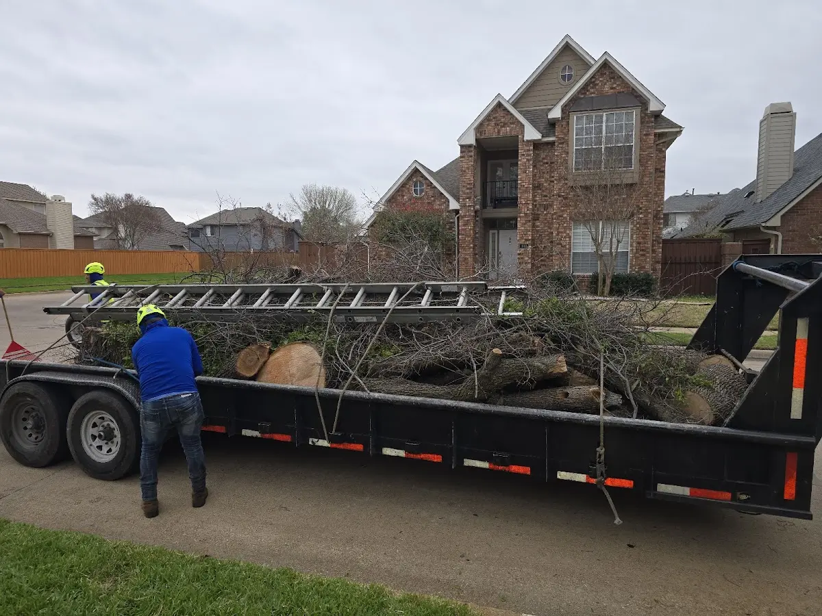 Expert Tree Removal with proper safety equipment in Avon Lake